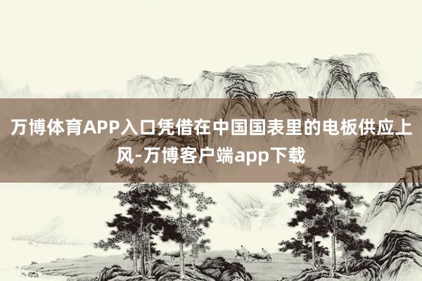 万博体育APP入口凭借在中国国表里的电板供应上风-万博客户端app下载