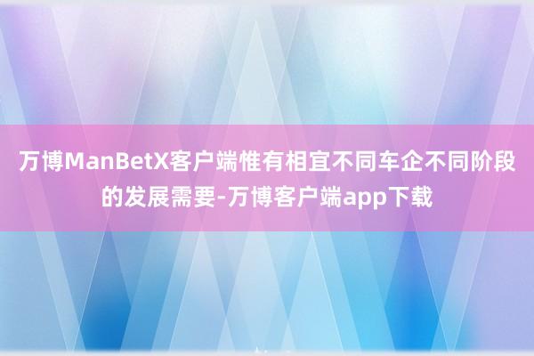 万博ManBetX客户端惟有相宜不同车企不同阶段的发展需要-万博客户端app下载