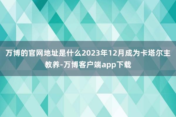 万博的官网地址是什么2023年12月成为卡塔尔主教养-万博客户端app下载