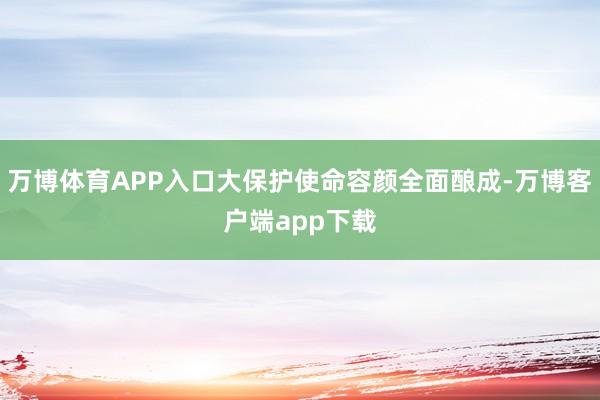 万博体育APP入口大保护使命容颜全面酿成-万博客户端app下载