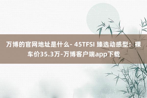 万博的官网地址是什么- 45TFSI 臻选动感型：裸车价35.3万-万博客户端app下载