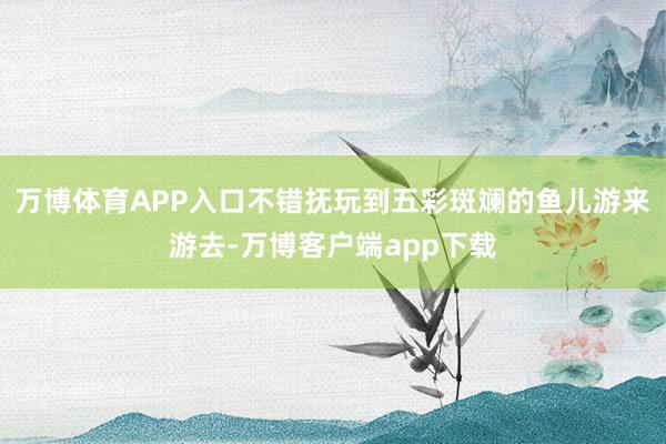 万博体育APP入口不错抚玩到五彩斑斓的鱼儿游来游去-万博客户端app下载