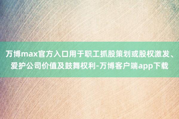 万博max官方入口用于职工抓股策划或股权激发、爱护公司价值及鼓舞权利-万博客户端app下载