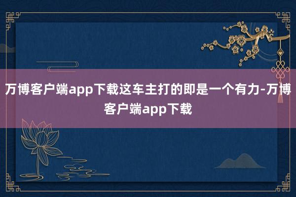 万博客户端app下载这车主打的即是一个有力-万博客户端app下载