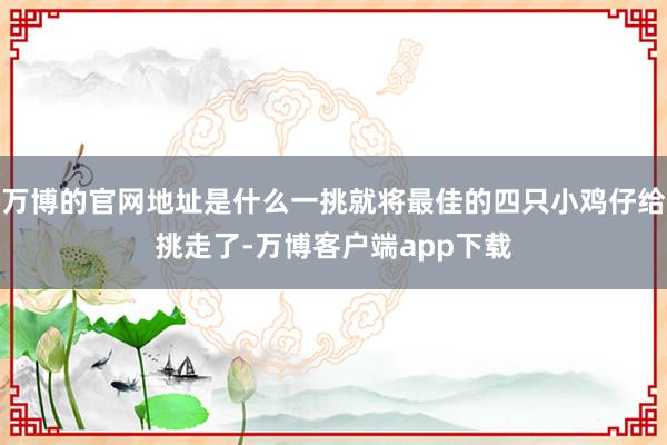 万博的官网地址是什么一挑就将最佳的四只小鸡仔给挑走了-万博客户端app下载