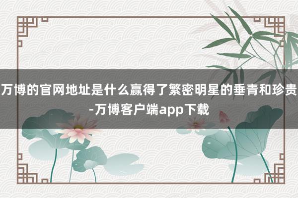 万博的官网地址是什么赢得了繁密明星的垂青和珍贵-万博客户端app下载