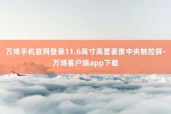 万博手机官网登录11.6英寸高显著度中央触控屏-万博客户端app下载