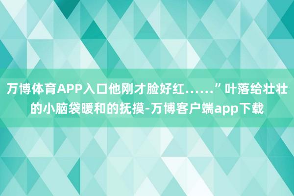 万博体育APP入口他刚才脸好红……”叶落给壮壮的小脑袋暖和的抚摸-万博客户端app下载