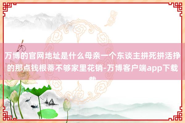 万博的官网地址是什么母亲一个东谈主拼死拼活挣的那点钱根蒂不够家里花销-万博客户端app下载