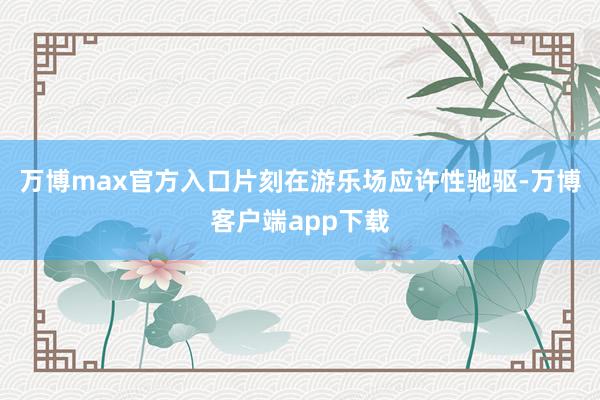 万博max官方入口片刻在游乐场应许性驰驱-万博客户端app下载