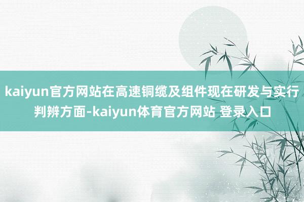 kaiyun官方网站在高速铜缆及组件现在研发与实行判辨方面-kaiyun体育官方网站 登录入口